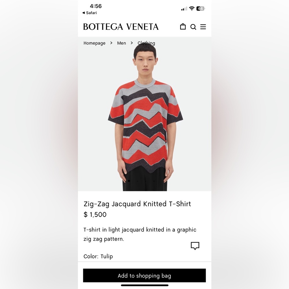 Bottega Veneta Multicolor Zig-Zag Jacquard Knit Tee